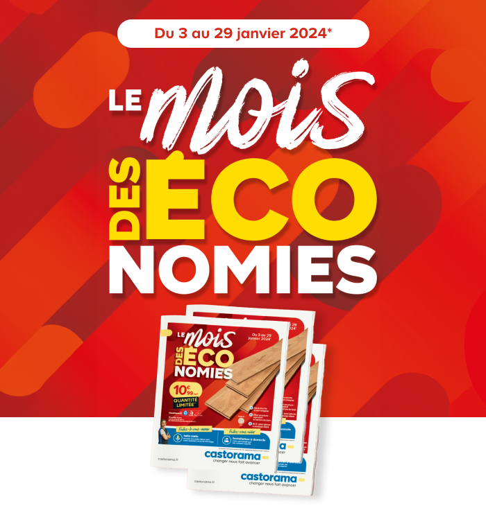 Le mois des économies